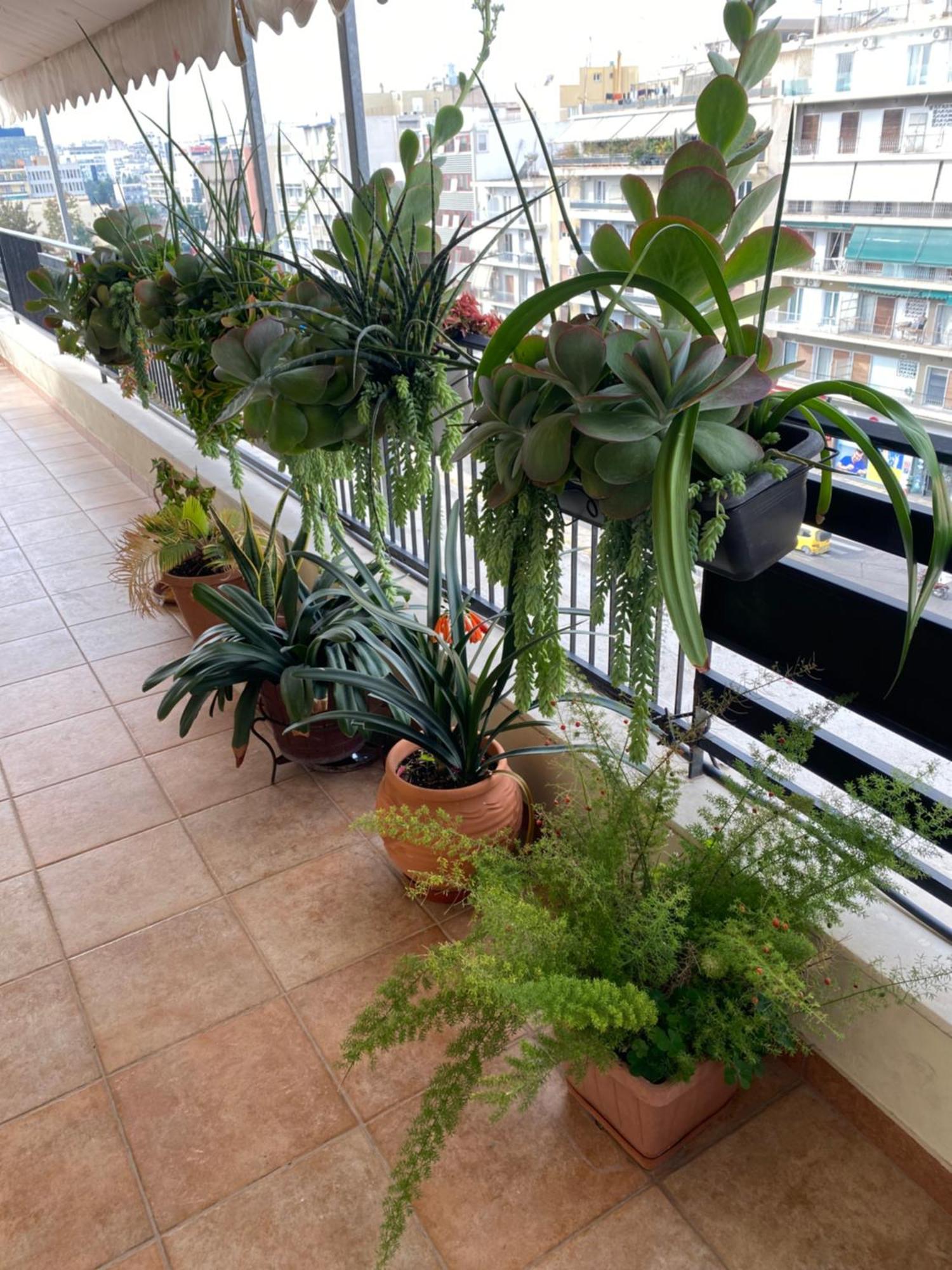 Athens Centre Acropolis "Sunny" Apartment #718 Εξωτερικό φωτογραφία